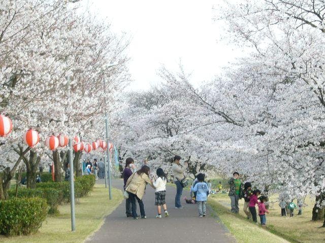 【2021年中止】　しののめ花まつり