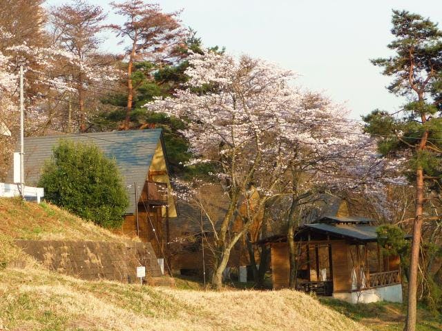大平崎キャンプ場