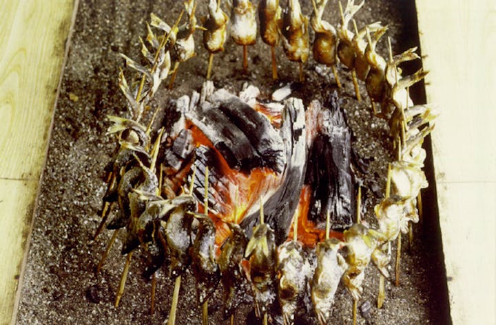 観光やなひのきや