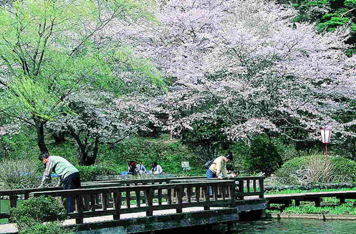 栃木公園紹介 那須塩原市 烏ヶ森公園 からすがもりこうえん 栃木公園情報館 トチパ