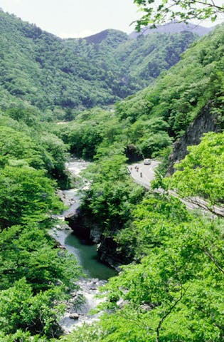 潜竜峡の新緑と紅葉