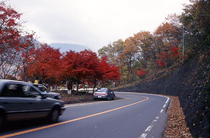 日塩もみじラインの新緑と紅葉 アソビュー