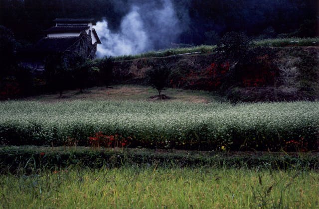 スポットの写真