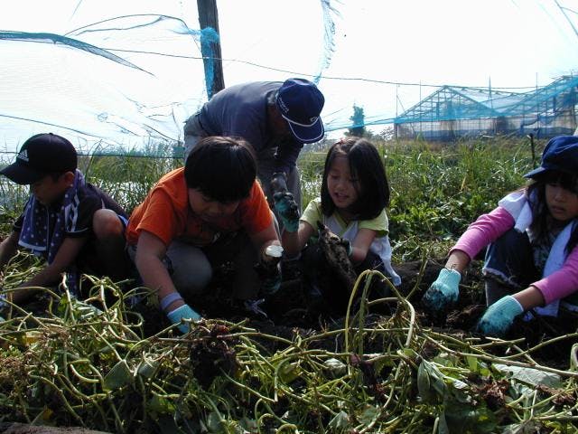 星定観光農園（農家民宿）