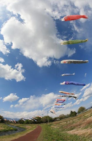 粕川の鯉のぼり