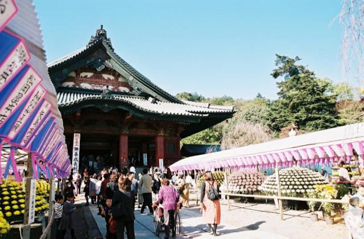 【2021年開催中止】関東菊花大会