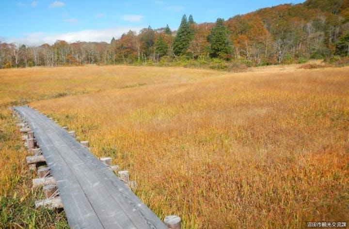 玉原高原の紅葉