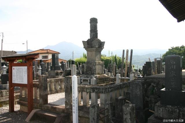 スポットの写真