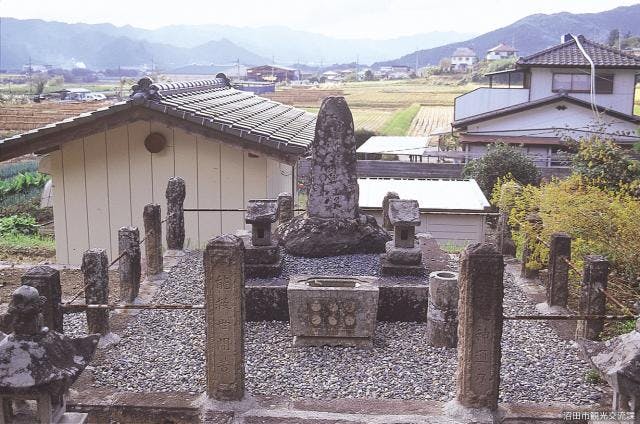 スポットの写真