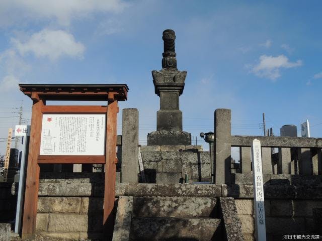 スポットの写真