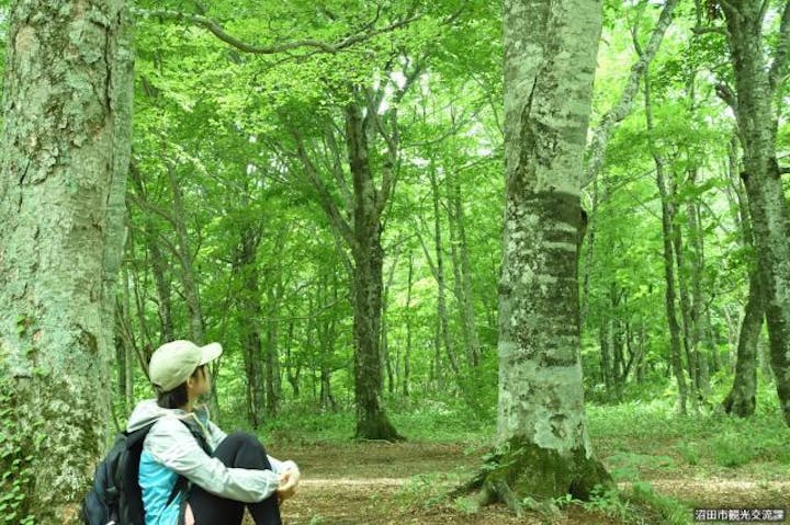 玉原高原ハイキングコース