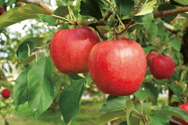 スポットの写真