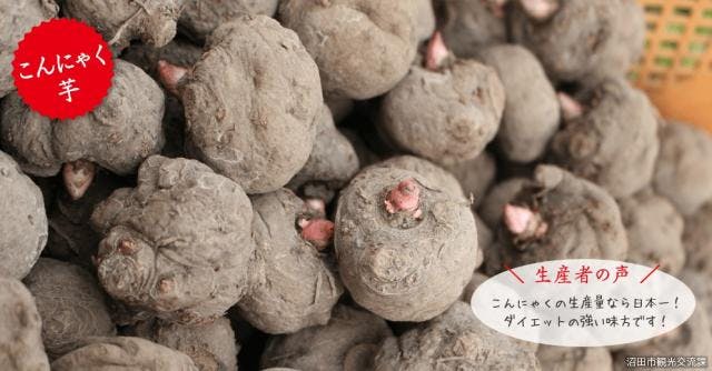 スポットの写真