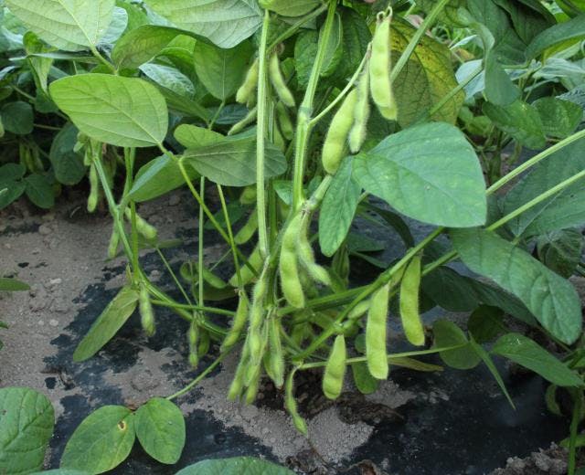 スポットの写真