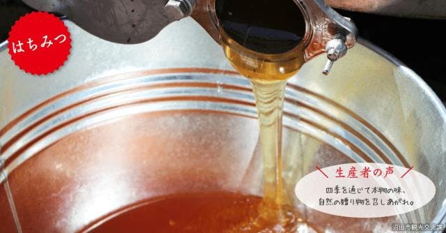 スポットの写真