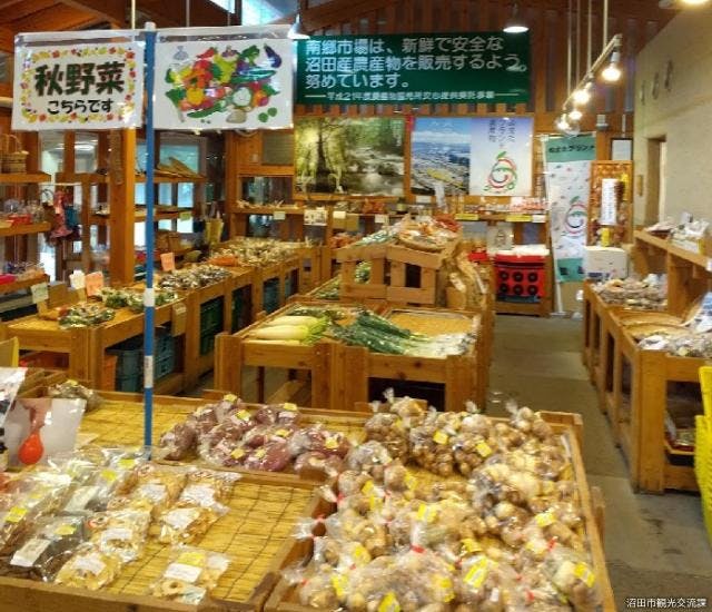 スポットの写真