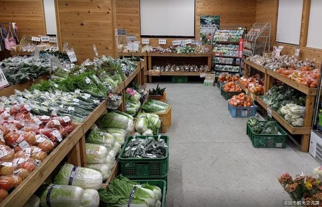 スポットの写真