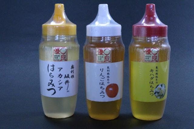 スポットの写真