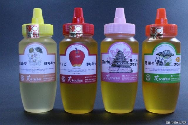 スポットの写真