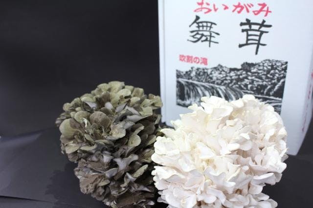 スポットの写真