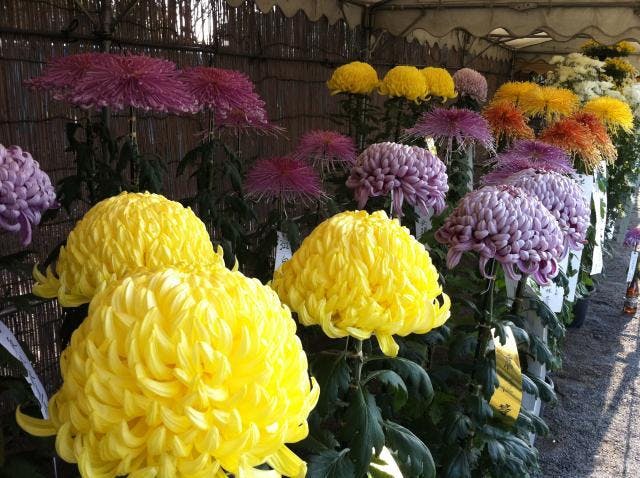 スポットの写真