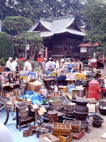 スポットの写真