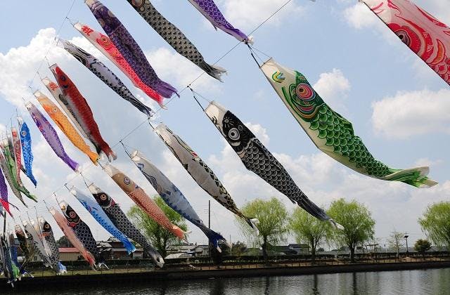 スポットの写真