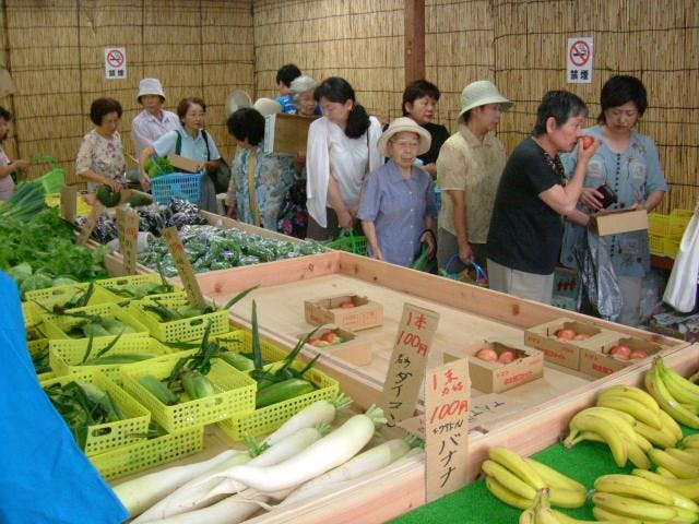 スポットの写真