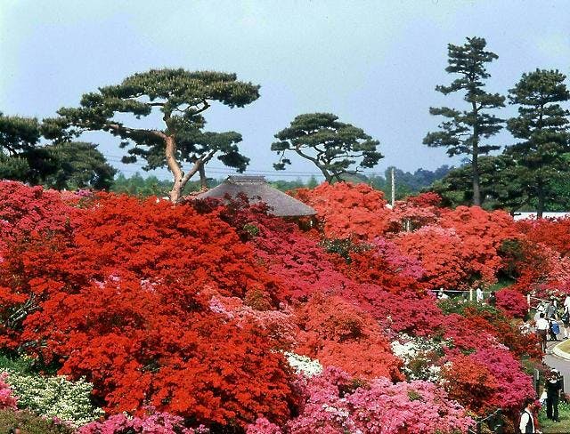 スポットの写真