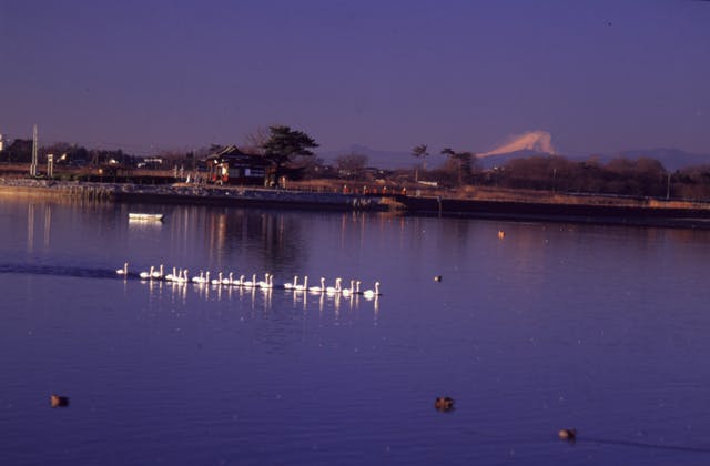 スポットの写真