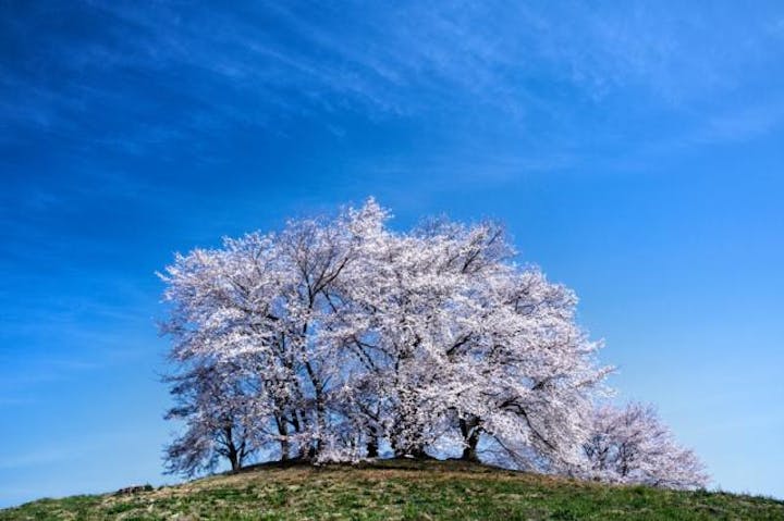 白石稲荷山古墳
