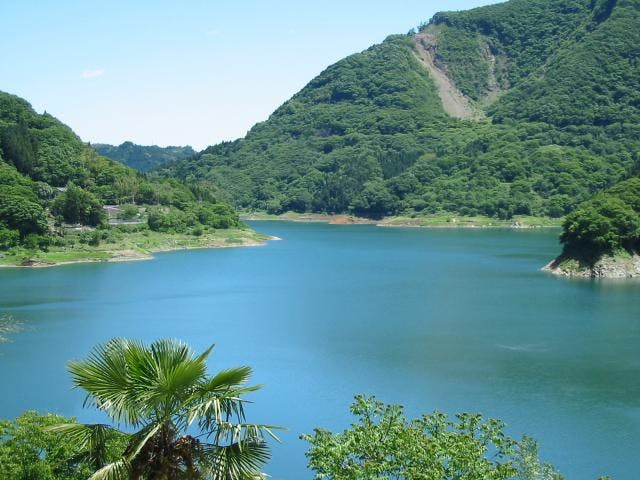 スポットの写真