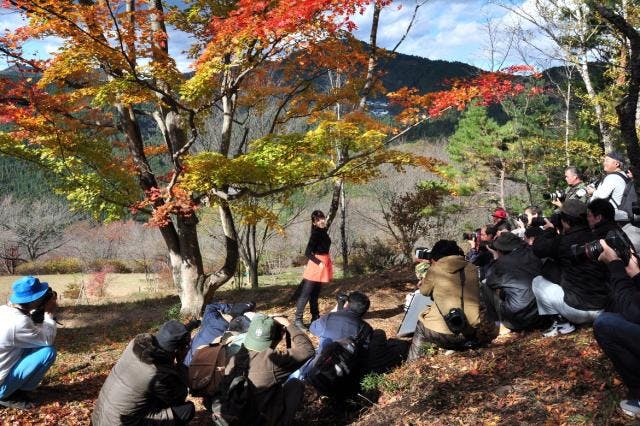 スポットの写真