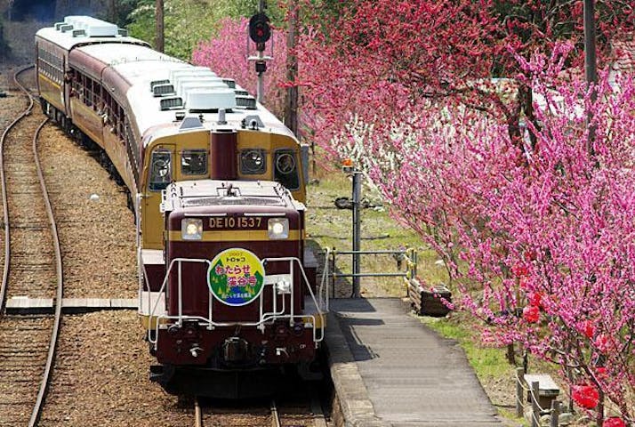 神戸駅花桃まつり