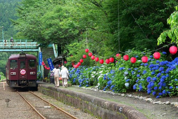 沢入駅あじさい祭り