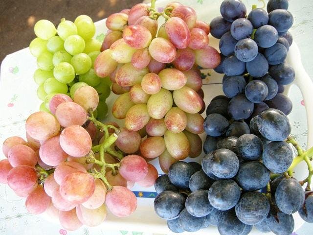 吉岡町小倉ぶどう郷