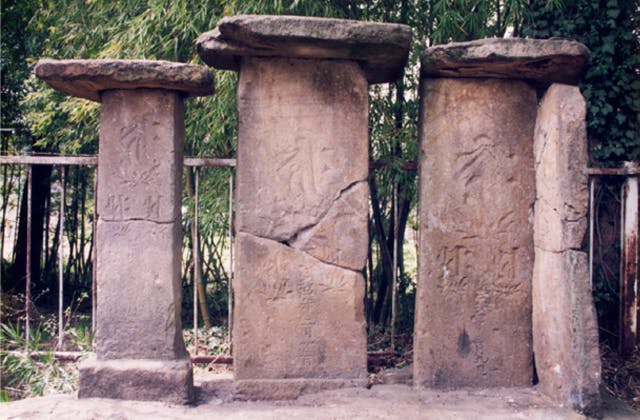 スポットの写真