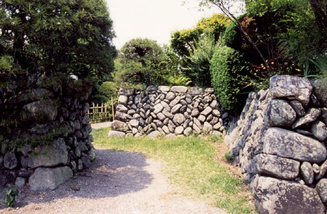 スポットの写真