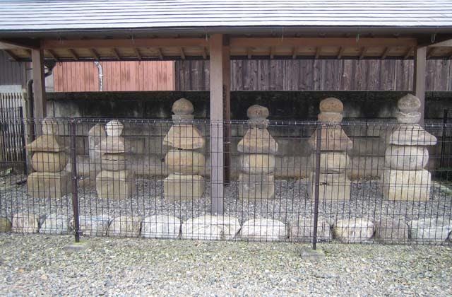 スポットの写真