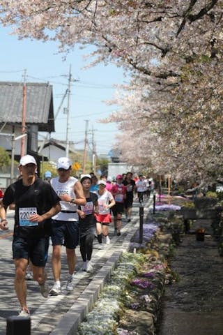 第３７回甘楽町さくらマラソン大会