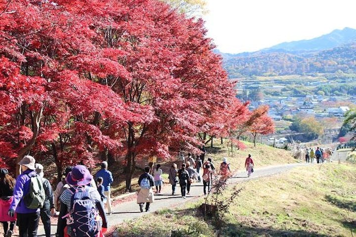 甘楽もみじウオーク