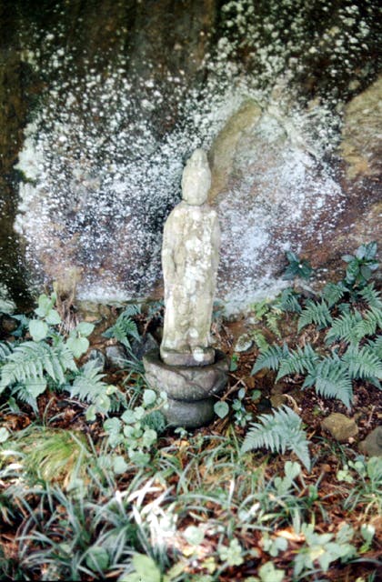 スポットの写真