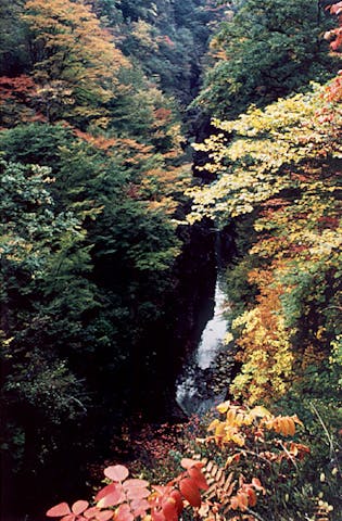 吾妻渓谷の紅葉