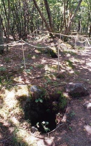 浅間山溶岩樹型群