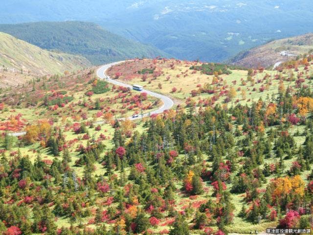 草津白根山の紅葉