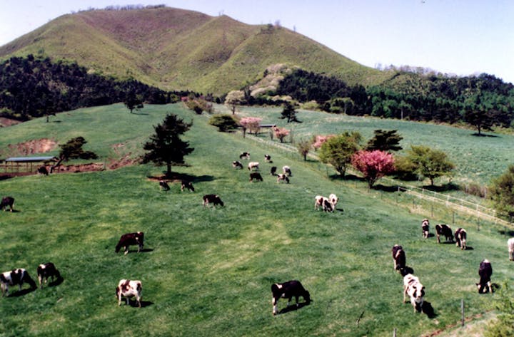 たかやま高原牧場
