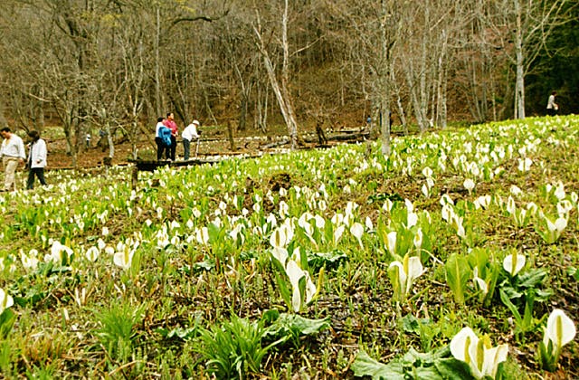 スポットの写真