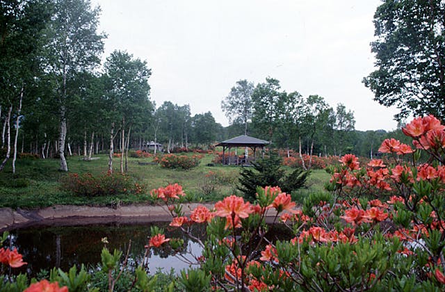 スポットの写真