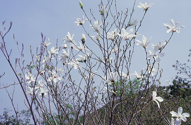 スポットの写真