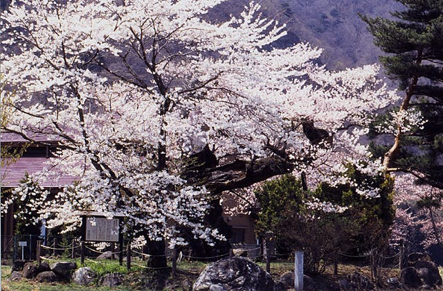 スポットの写真